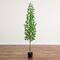 6ft. UV Artificial Podocarpus Artificial Tree (Indoor/Outdoor)
